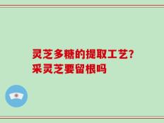 灵芝多糖的提取工艺？采灵芝要留根吗
