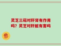 灵芝三萜对肝肾有作用吗？灵芝对肝脏有害吗