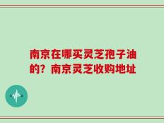 南京在哪买灵芝孢子油的？南京灵芝收购地址
