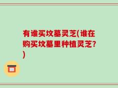 有谁买坟墓灵芝(谁在购买坟墓里种植灵芝？)