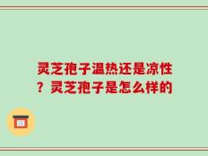 灵芝孢子温热还是凉性？灵芝孢子是怎么样的
