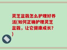 灵芝盆栽怎么护理好养活(如何正确护理灵芝盆栽，让它健康成长？)