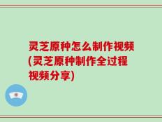 灵芝原种怎么制作视频(灵芝原种制作全过程视频分享)
