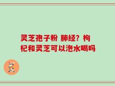 灵芝孢子粉 肺经？枸杞和灵芝可以泡水喝吗