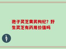 孢子灵芝黄芪枸杞？野生灵芝有药用价值吗