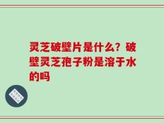 灵芝破壁片是什么？破壁灵芝孢子粉是溶于水的吗
