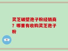 灵芝破壁孢子粉经销商？哪里有收购灵芝孢子粉
