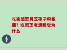 吃完破壁灵芝孢子粉犯困？吃灵芝老想睡觉为什么