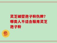 灵芝破壁孢子粉伤脾？哪类人不适合服用灵芝孢子粉
