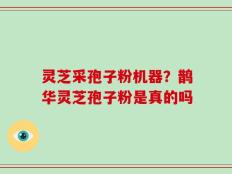灵芝采孢子粉机器？鹊华灵芝孢子粉是真的吗