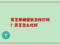 灵芝用破壁机怎样打碎？灵芝怎么吃好