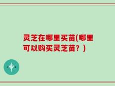 灵芝在哪里买苗(哪里可以购买灵芝苗？)