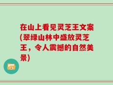 在山上看见灵芝王文案(翠绿山林中盛放灵芝王，令人震撼的自然美景)
