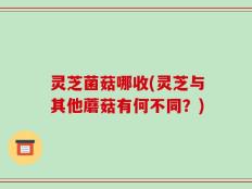 灵芝菌菇哪收(灵芝与其他蘑菇有何不同？)