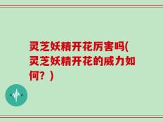 灵芝妖精开花厉害吗(灵芝妖精开花的威力如何？)