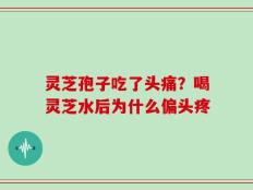 灵芝孢子吃了头痛？喝灵芝水后为什么偏头疼