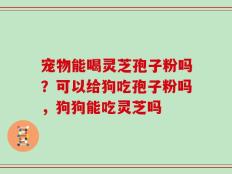 宠物能喝灵芝孢子粉吗？可以给狗吃孢子粉吗，狗狗能吃灵芝吗