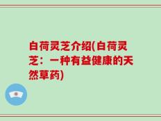 白荷灵芝介绍(白荷灵芝：一种有益健康的天然草药)
