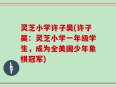灵芝小学许子昊(许子昊：灵芝小学一年级学生，成为全美国少年象棋冠军)