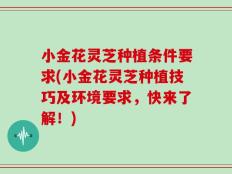 小金花灵芝种植条件要求(小金花灵芝种植技巧及环境要求，快来了解！)