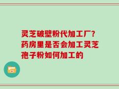 灵芝破壁粉代加工厂？药房里是否会加工灵芝孢子粉如何加工的