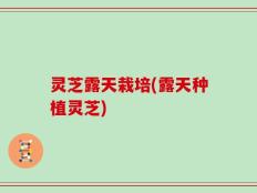 灵芝露天栽培(露天种植灵芝)