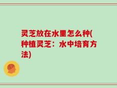 灵芝放在水里怎么种(种植灵芝：水中培育方法)