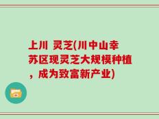 上川 灵芝(川中山幸苏区现灵芝大规模种植，成为致富新产业)