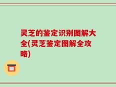 灵芝的鉴定识别图解大全(灵芝鉴定图解全攻略)