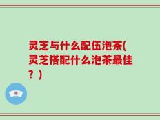 灵芝与什么配伍泡茶(灵芝搭配什么泡茶最佳？)