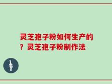 灵芝孢子粉如何生产的？灵芝孢子粉制作法