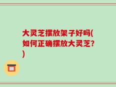 大灵芝摆放架子好吗(如何正确摆放大灵芝？)