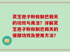 灵芝孢子粉和制巴戟天的功效与用法？详解灵芝孢子粉和制巴戟天的保健功效及使用方法？
