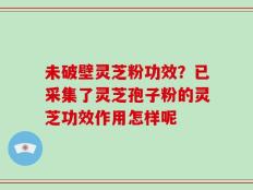 未破壁灵芝粉功效？已采集了灵芝孢子粉的灵芝功效作用怎样呢