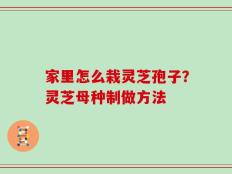 家里怎么栽灵芝孢子？灵芝母种制做方法