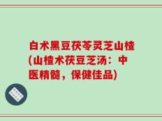 白术黑豆茯苓灵芝山楂(山楂术茯豆芝汤：中医精髓，保健佳品)