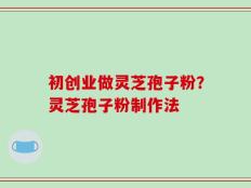 初创业做灵芝孢子粉？灵芝孢子粉制作法