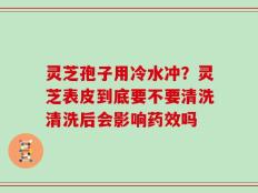 灵芝孢子用冷水冲？灵芝表皮到底要不要清洗清洗后会影响药效吗