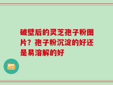 破壁后的灵芝孢子粉图片？孢子粉沉淀的好还是易溶解的好