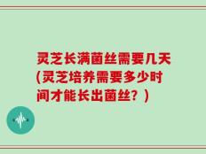 灵芝长满菌丝需要几天(灵芝培养需要多少时间才能长出菌丝？)