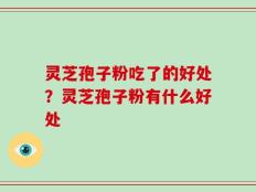 灵芝孢子粉吃了的好处？灵芝孢子粉有什么好处