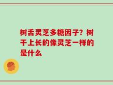 树舌灵芝多糖因子？树干上长的像灵芝一样的是什么
