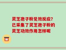 灵芝孢子粉见效反应？已采集了灵芝孢子粉的灵芝功效作用怎样呢