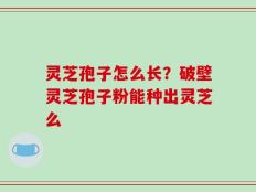 灵芝孢子怎么长？破壁灵芝孢子粉能种出灵芝么