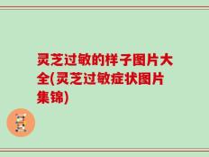 灵芝过敏的样子图片大全(灵芝过敏症状图片集锦)