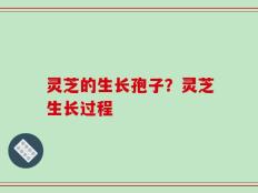 灵芝的生长孢子？灵芝生长过程