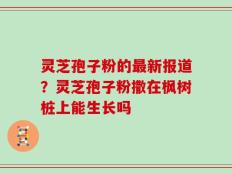 灵芝孢子粉的最新报道？灵芝孢子粉撒在枫树桩上能生长吗