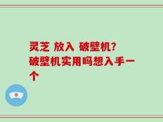 灵芝 放入 破壁机？破壁机实用吗想入手一个