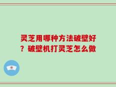 灵芝用哪种方法破壁好？破壁机打灵芝怎么做
