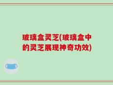 玻璃盒灵芝(玻璃盒中的灵芝展现神奇功效)
